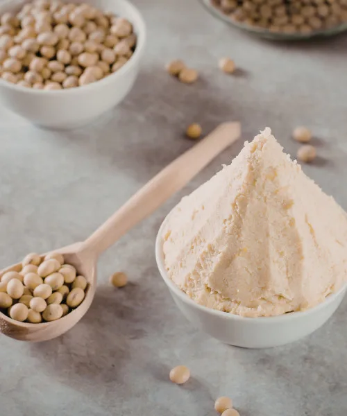 Commercial hummus production setup showing fresh chickpeas in bowls and creamy hummus paste, ideal for wholesale food manufacturers and distributors.
